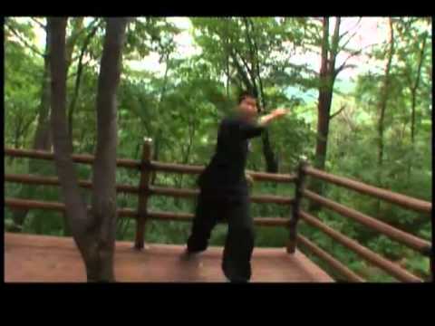 Hapkido – Mestres do Combate