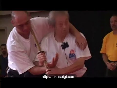 Hatsumi Bujinkan Ninjutsu