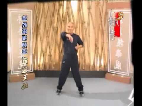 Ip Chun – Siu lim tao ( Wing Chun )