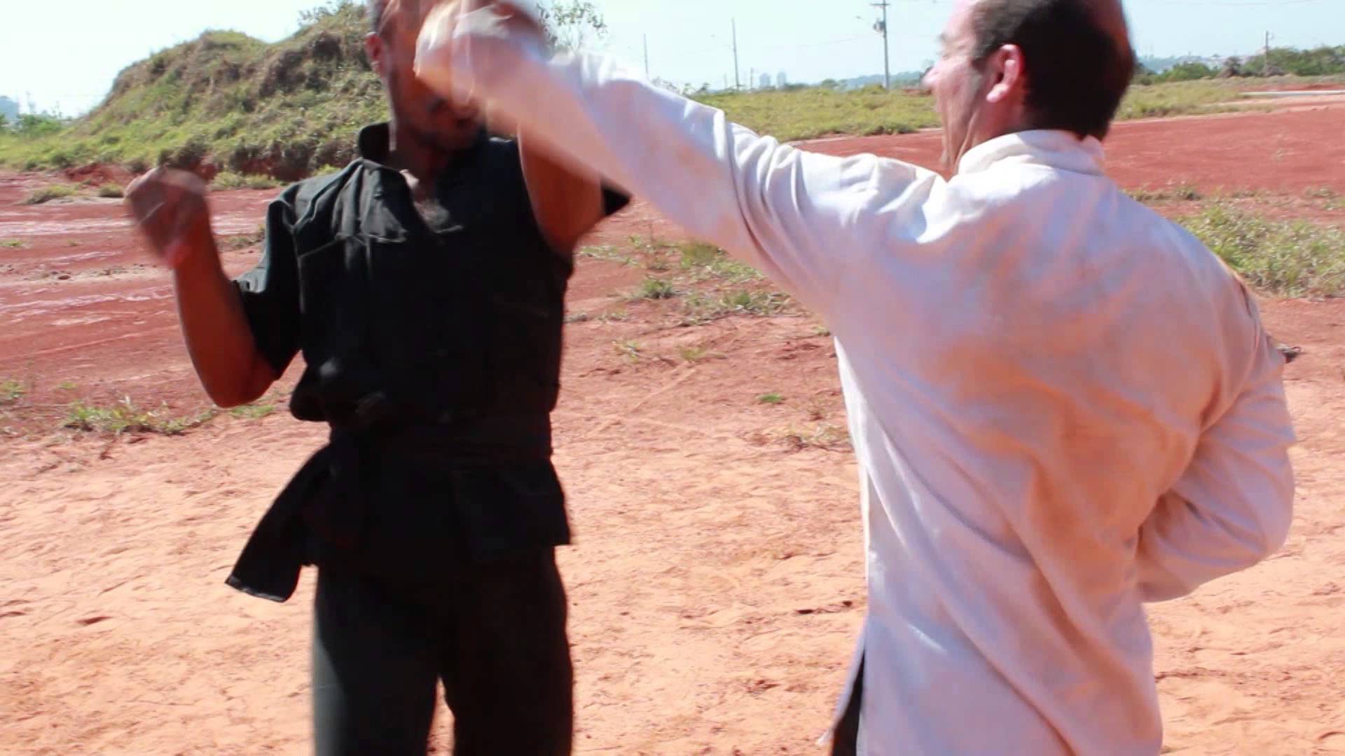 O Camponês do Punho Hung Gar