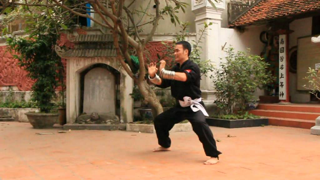 VIET VO DAO – VÕ ĐƯỜNG VIỆT NAM