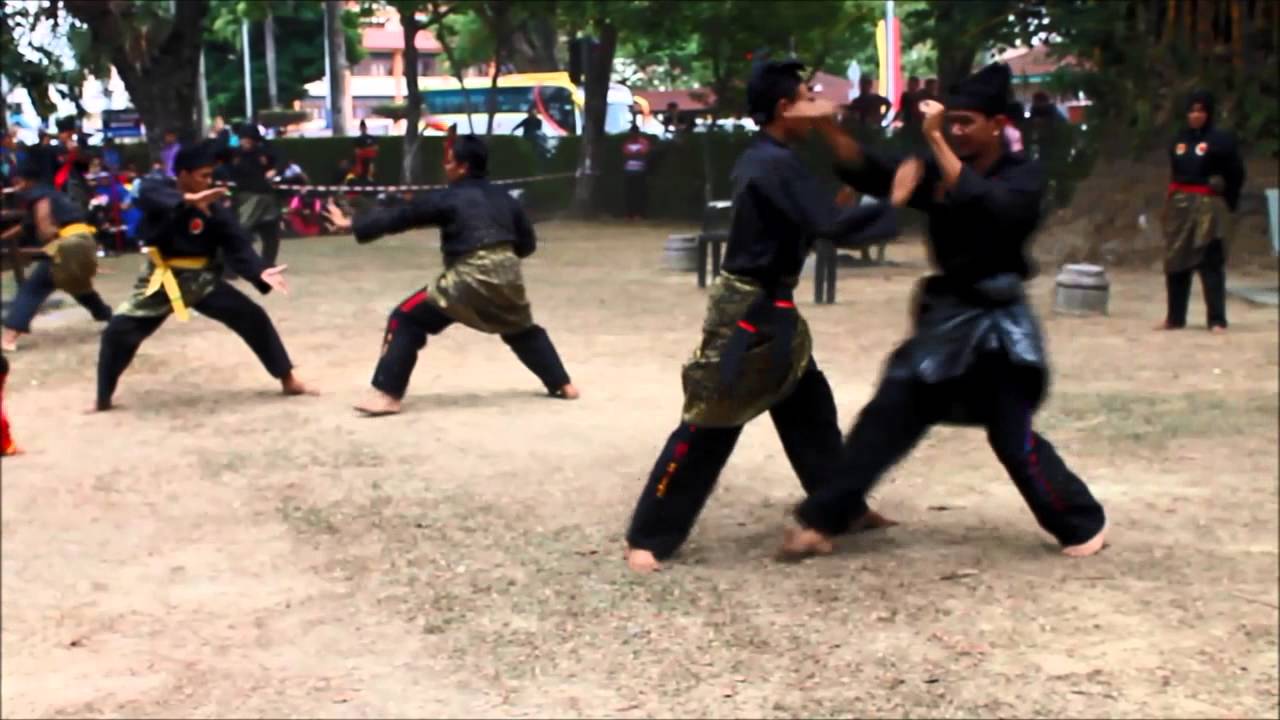Demo Pertubuhan Seni Silat Gayung Ghaib Serantau Malaysia 2014