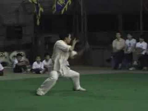 Sifu Wong – NY/USA – Xin Hui Choy Lee Fut