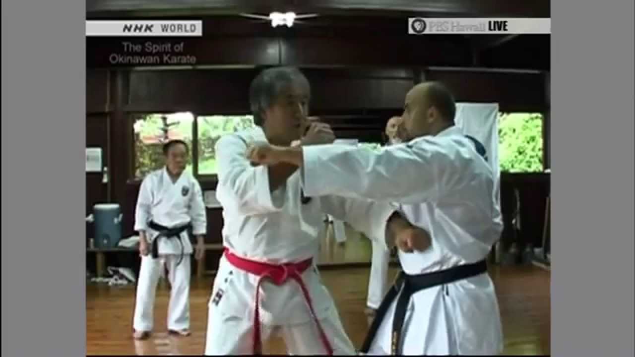 Documentário Tee – The Spirit of Okinawan Karate