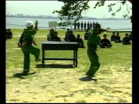 Pencak Silat – Compilação de algumas técnicas tradicionais do Pencak Silat