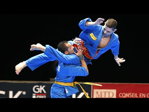 Vovinam Viet Vo Dao no 30º Festival des Arts Martiaux (Paris)